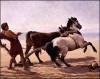 Ulysse labourant la plage