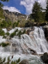 Ùn parenu veli è lenzoli issi spisci d’acqua?