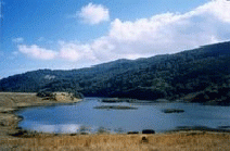 CALTANISSETTA-La riserva del lago Biviere di Gela